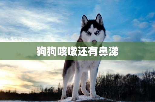狗狗咳嗽還有鼻涕
