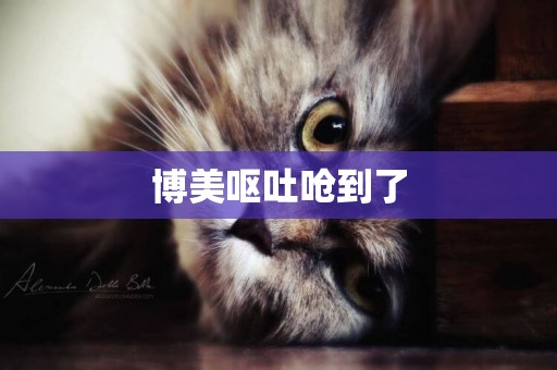 博美嘔吐嗆到了