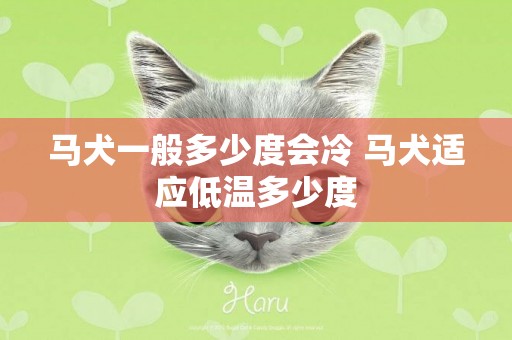 馬犬一般多少度會冷 馬犬適應低溫多少度