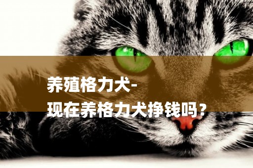 養殖格力犬-
現在養格力犬掙錢嗎？