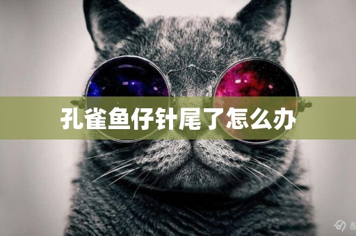 孔雀魚仔針尾了怎么辦