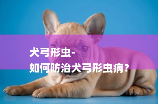 犬弓形蟲-
如何防治犬弓形蟲病？