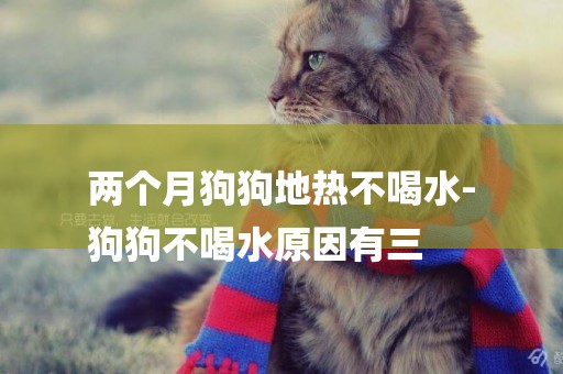 兩個月狗狗地熱不喝水-
狗狗不喝水原因有三