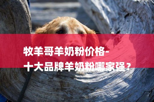 牧羊哥羊奶粉價格-
十大品牌羊奶粉哪家強？