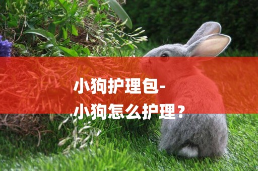 小狗護理包-
小狗怎么護理？