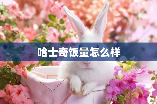 哈士奇飯量怎么樣
