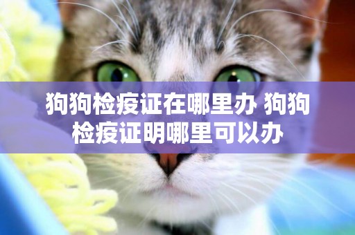 狗狗檢疫證在哪里辦 狗狗檢疫證明哪里可以辦