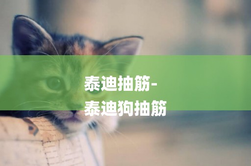 泰迪抽筋-
泰迪狗抽筋