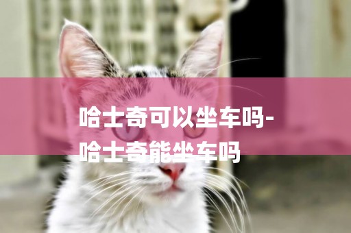 哈士奇可以坐車嗎-
哈士奇能坐車嗎
