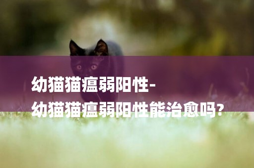 幼貓貓瘟弱陽性-
幼貓貓瘟弱陽性能治愈嗎?