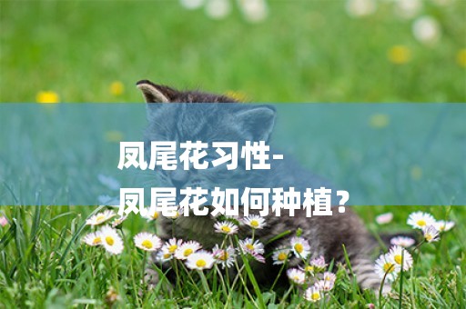 鳳尾花習性-
鳳尾花如何種植？