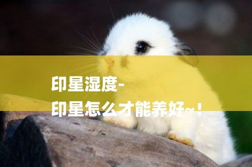印星濕度-
印星怎么才能養好~！