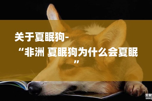 關于夏眠狗-
“非洲 夏眠狗為什么會夏眠”
