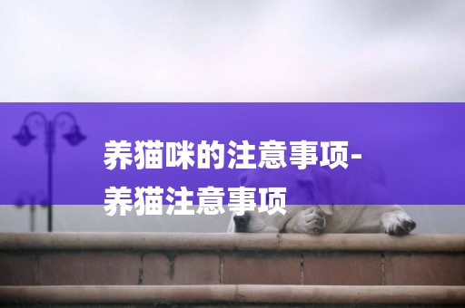 養貓咪的注意事項-
養貓注意事項
