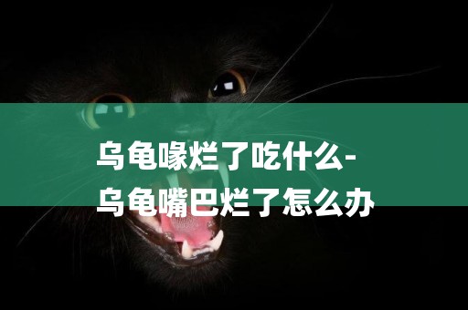 烏龜喙爛了吃什么-
烏龜嘴巴爛了怎么辦
