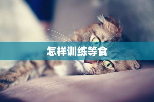 怎樣訓練等食