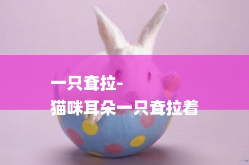 一只耷拉-
貓咪耳朵一只耷拉著