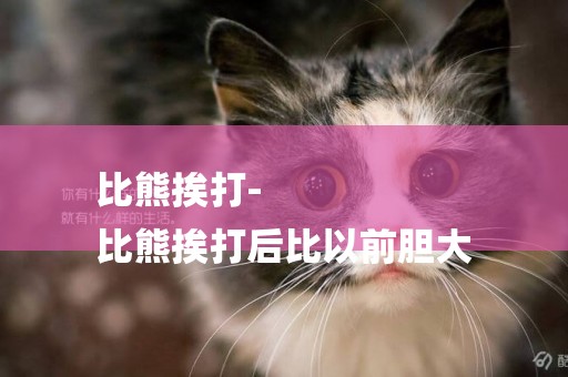 比熊挨打-
比熊挨打后比以前膽大