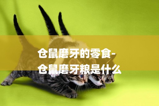 倉鼠磨牙的零食-
倉鼠磨牙糧是什么