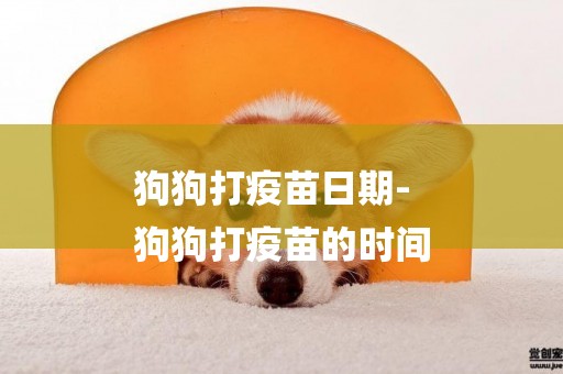 狗狗打疫苗日期-
狗狗打疫苗的時間