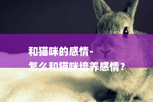 和貓咪的感情-
怎么和貓咪培養感情？