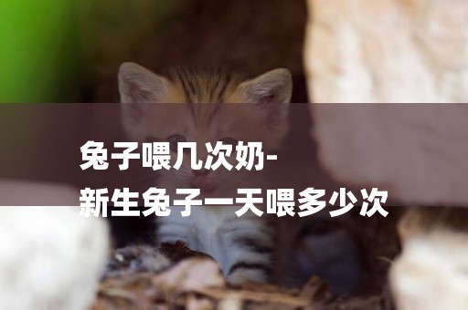 兔子喂幾次奶-
新生兔子一天喂多少次