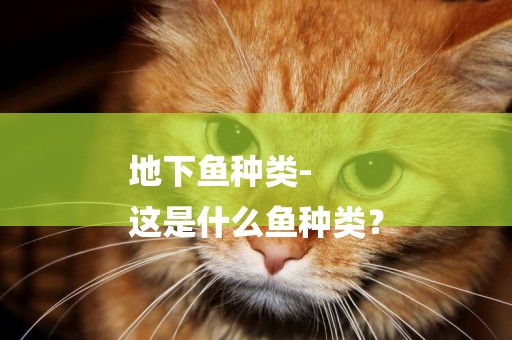 地下魚種類-
這是什么魚種類？