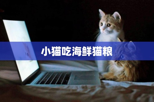小貓吃海鮮貓糧