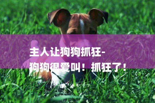 主人讓狗狗抓狂-
狗狗很愛叫！抓狂了！