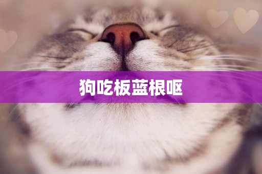 狗吃板藍根嘔