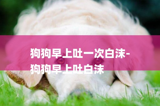 狗狗早上吐一次白沫-
狗狗早上吐白沫