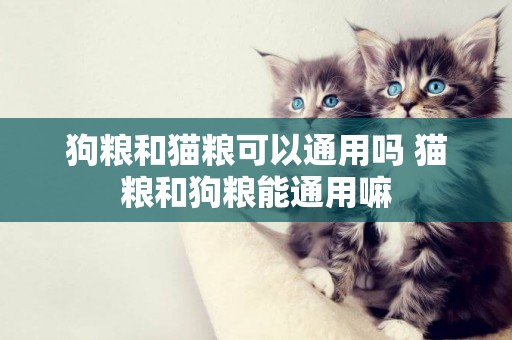 狗糧和貓糧可以通用嗎 貓糧和狗糧能通用嘛