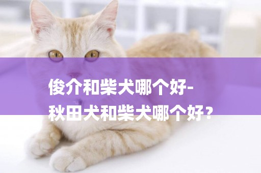 俊介和柴犬哪個好-
秋田犬和柴犬哪個好？