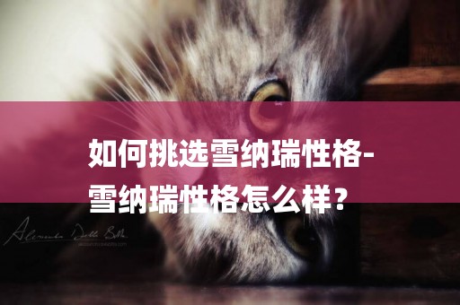 如何挑選雪納瑞性格-
雪納瑞性格怎么樣？