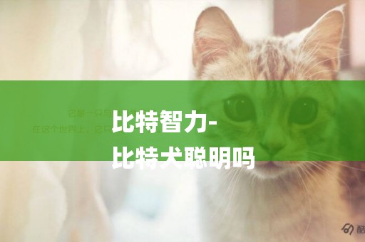 比特智力-
比特犬聰明嗎