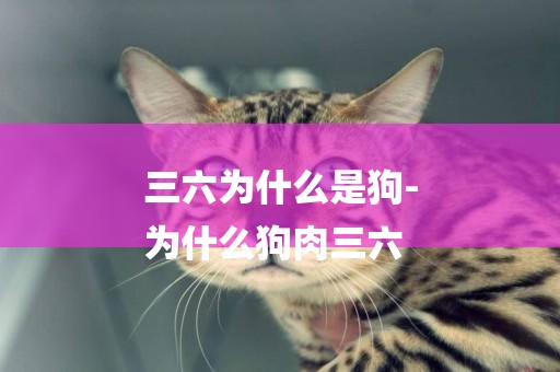 三六為什么是狗-
為什么狗肉三六