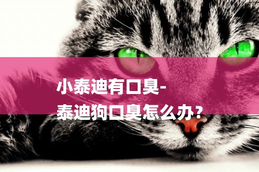 小泰迪有口臭-
泰迪狗口臭怎么辦？
