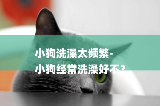 小狗洗澡太頻繁-
小狗經常洗澡好不？