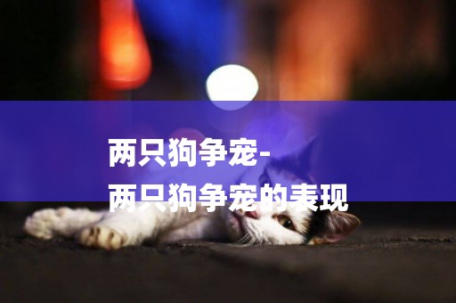 兩只狗爭寵-
兩只狗爭寵的表現