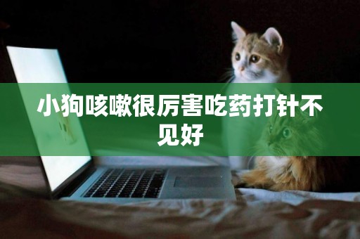 小狗咳嗽很厲害吃藥打針不見好