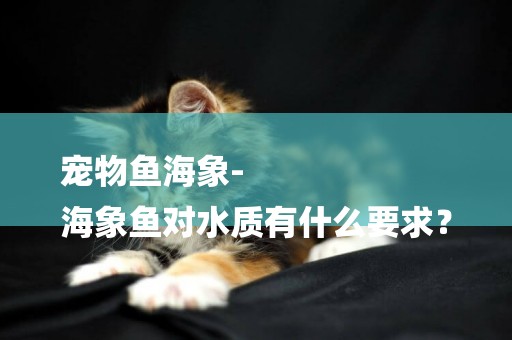 寵物魚海象-
海象魚對水質有什么要求？