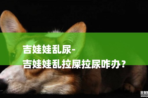 吉娃娃亂尿-
吉娃娃亂拉屎拉尿咋辦？