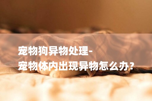 寵物狗異物處理-
寵物體內出現異物怎么辦？