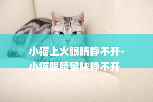 小貓上火眼睛睜不開-
小貓眼睛留膿睜不開