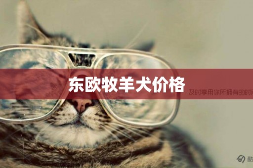 東歐牧羊犬價格