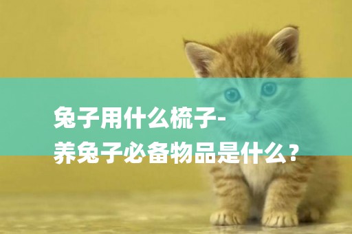 兔子用什么梳子-
養兔子必備物品是什么？