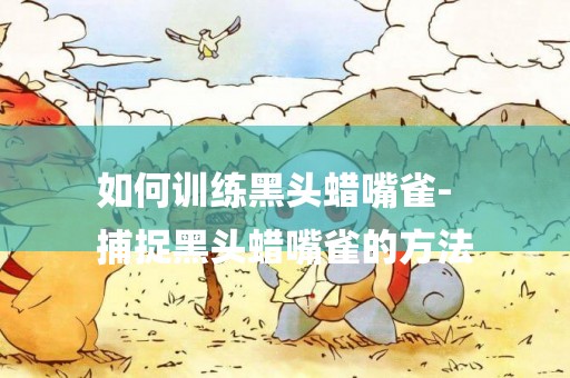 如何訓練黑頭蠟嘴雀-
捕捉黑頭蠟嘴雀的方法