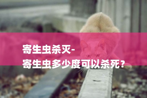 寄生蟲殺滅-
寄生蟲多少度可以殺死？