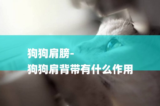 狗狗肩膀-
狗狗肩背帶有什么作用