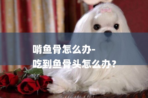 啃魚骨怎么辦-
吃到魚骨頭怎么辦？